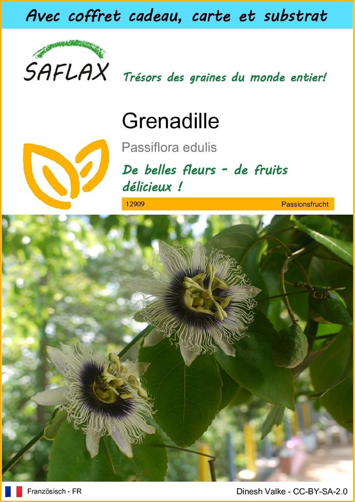 SAFLAX Ensemble-cadeau - Grenadille - 40 graines - Image du produit 