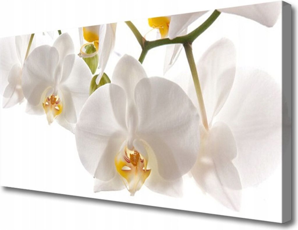 Orchidee Blumen Natur Leinwand 100x50