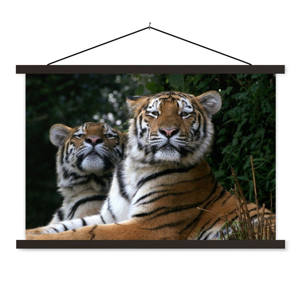 MuchoWow Textilposter Tiger - Wald - Köpfe 120x80 cm mit schwarzem Rahmen - Wanddeko