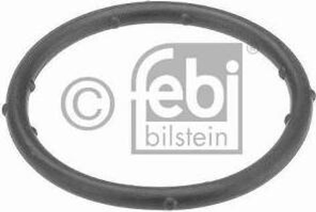 Febi Bilstein Dichtung, Kühlmittelflansch 18766