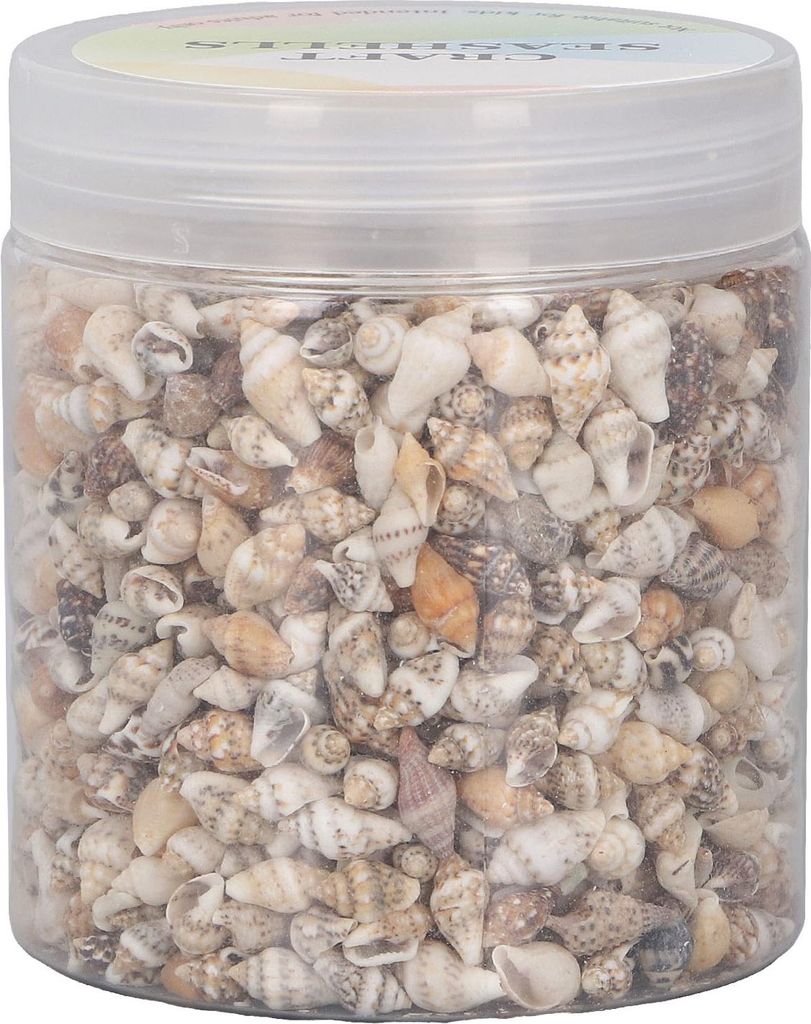 Mini Muscheln Natur, Spiral-Muscheln für DIY Aquarium Deko & Bastelarbeiten, Flaschenschmuck