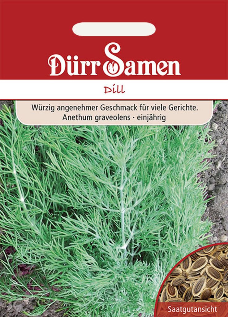 Dürr-Samen - Dill blattreicher - Saatgut - 0176 Produktbild 