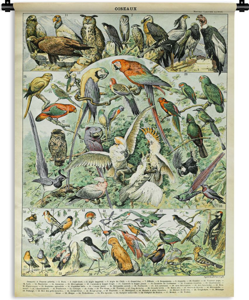 MuchoWow Wandteppich Wandbehang Tiere - Vintage - Adolphe Millot - Vögel - Design 150x200 cm Tapisserie Dekoration Wandtuch - Wandaufhängung - ...