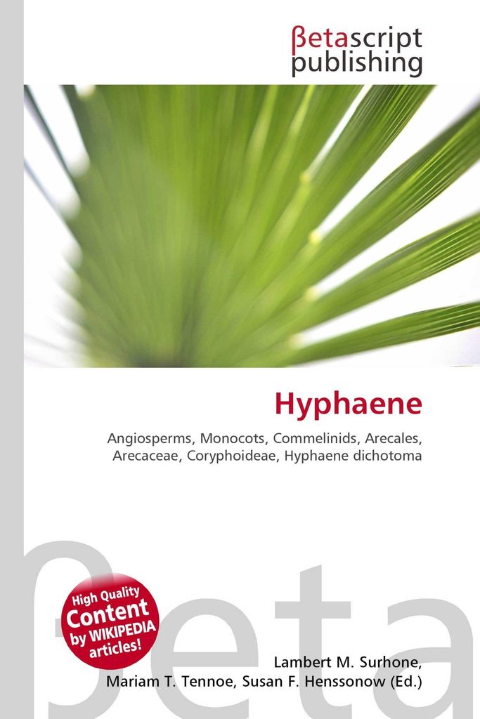 Hyphaene