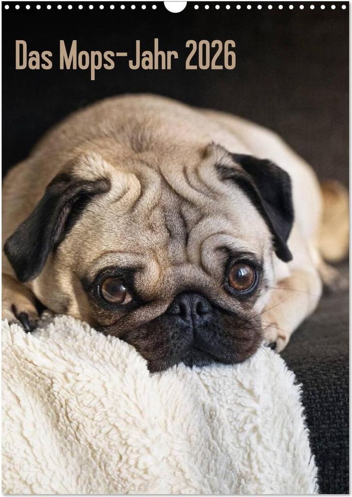Das Mops-Jahr 2026 (Wandkalender 2026 DIN A3 hoch), CALVENDO Monatskalender