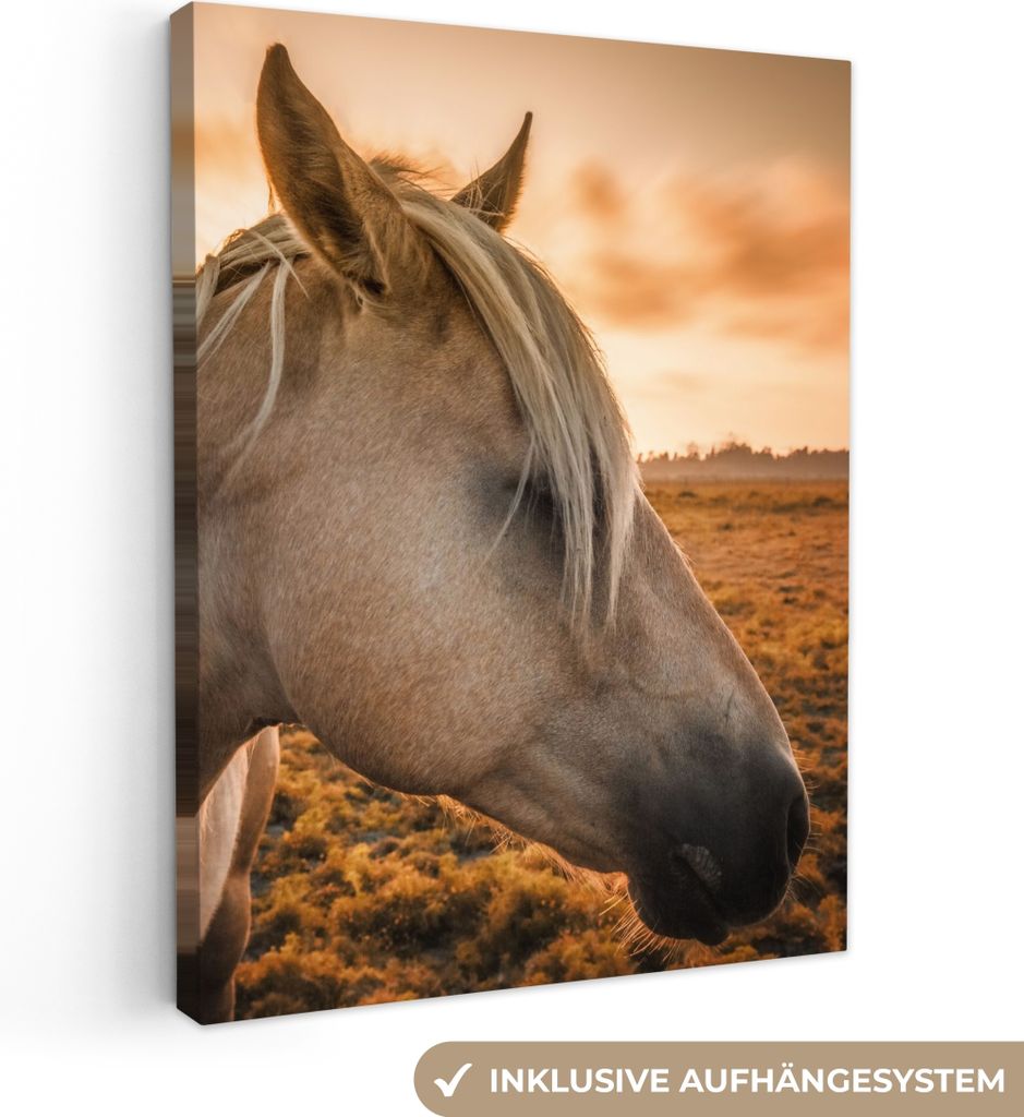 MuchoWow - Leinwandbilder - Pferd - Tiere - Porträt, Wandbild, Wanddeko Bilder Wohnzimmer, 90x120 cm