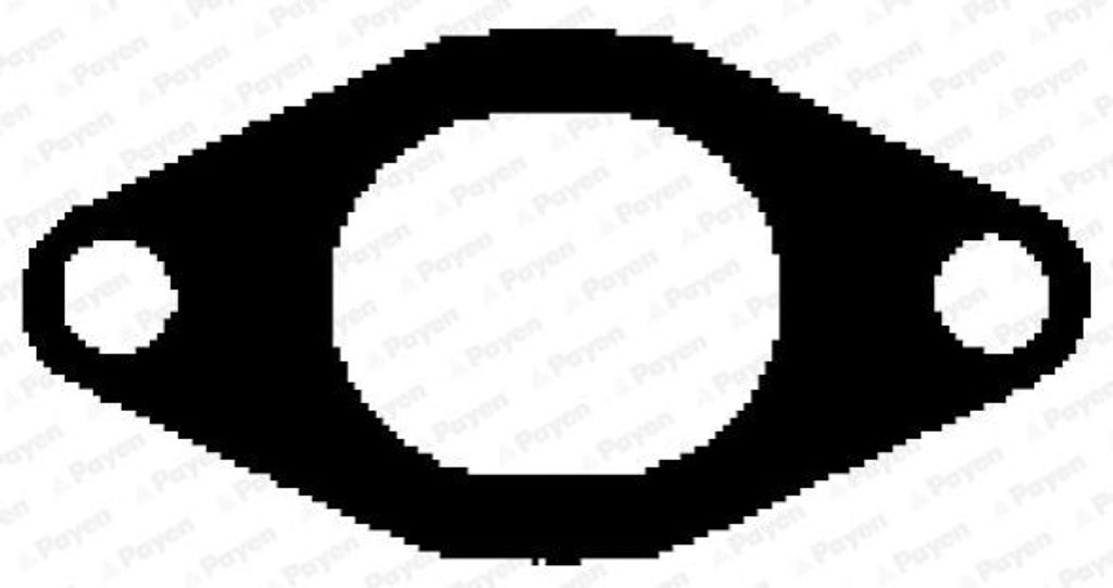 PAYEN JC055 Abgaskrümmerdichtung für OPEL Movano Kastenwagen (X70) Auspuffkrümmer