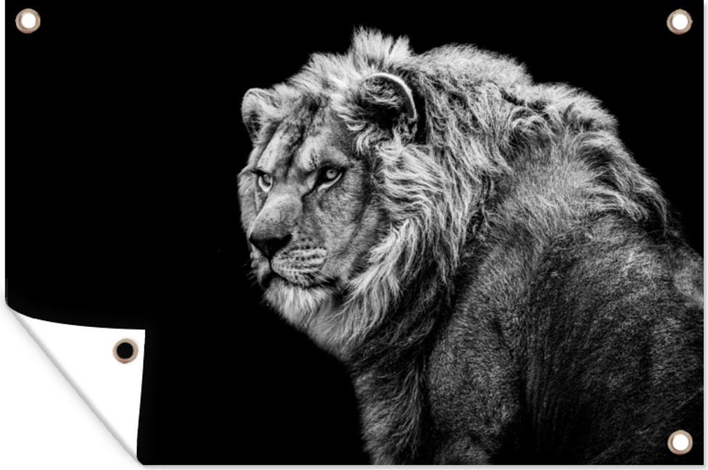 MuchoWow 120x80 cm Outdoor-Poster Gartendeko Sichtschutz Garten Poster für den Garten Löwe - Porträt - Wildtiere - Schwarz - Weiß