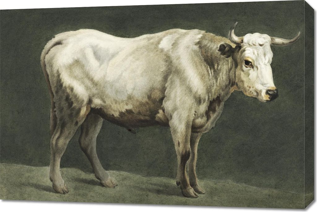 Bild 90x60cm Stier, Jean Bernard Vintage für das Wohnzimmer