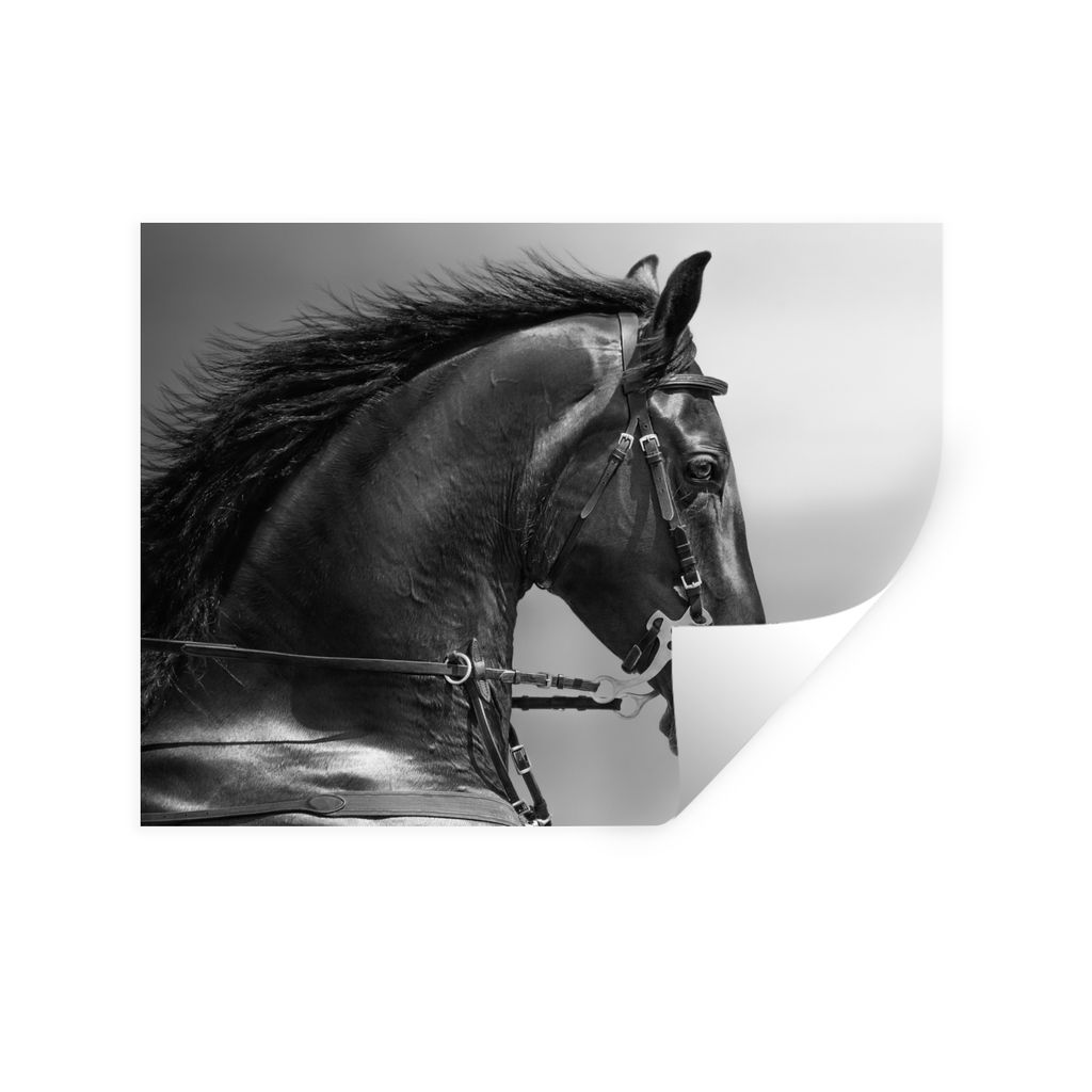 MuchoWow Wandtattoo Wandsticker Wandaufkleber Pferde - Schwarz - Porträt - Tiere 120x90 cm Selbstklebend und Repositionierbar - Aufkleber