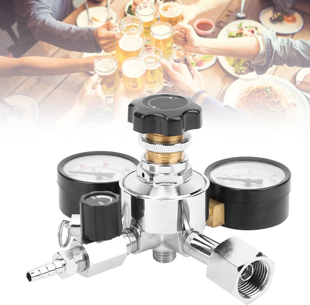 CO2-Regler Bier Soda Keg Druckentlastungsventil Home Brew Bier Gas Line Assembly W21.8 EU Plug