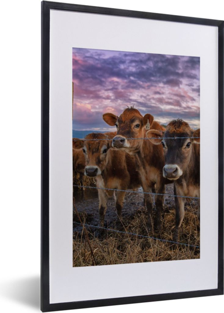 MuchoWow Gerahmtes Poster Kuh - Tiere - Kühe 40x60 cm - Poster mit Schwarzem Bilderrahmen Wandposter Rahmen Foto Bilder - Poster in Rahmen