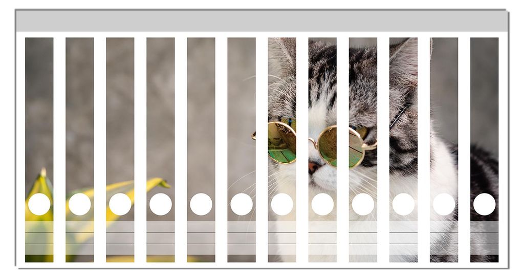 Wallario Ordnerrücken Sticker, selbstklebend für schmale Ordner, 12 Stück, Motiv Katze mit Stil