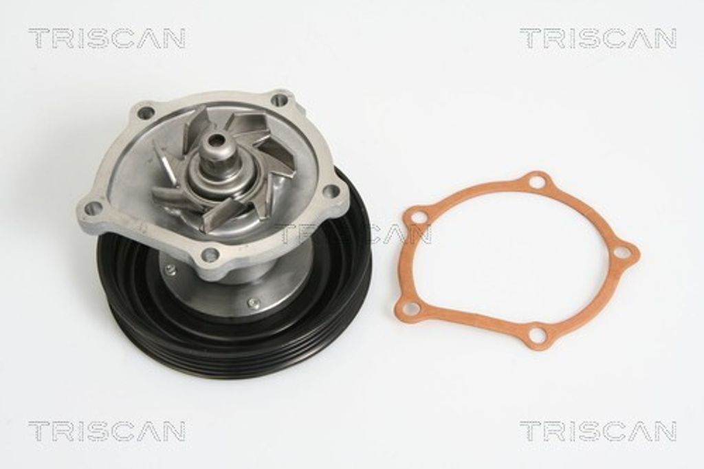 TRISCAN Wasserpumpe 8600 69006