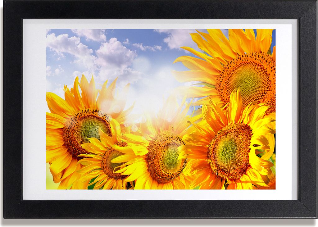 Bild 30x20 MDF-Rahmen, Wandkunst Sunflowers