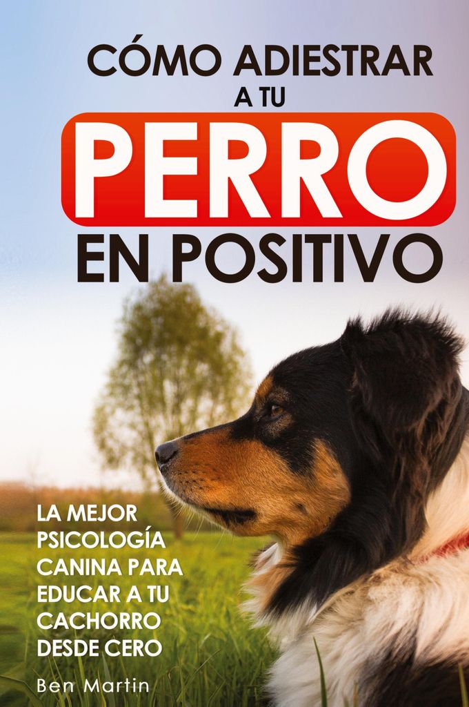 Cómo Adiestrar a tu Perro en Positivo
