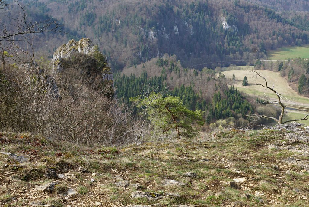 hansepuzzle 21940 - Blick ins Donautal Puzzle, 2000 Teile, Natur, 90,0 x 60,0cm mit hochwertiger Aufbewahrung, Kartonbox & Beutel