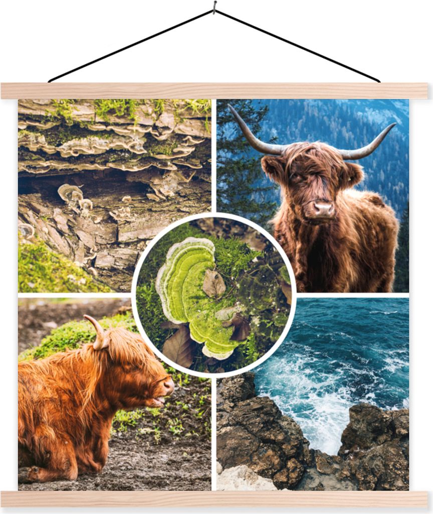 MuchoWow Textilposter Schottische Hochlandrind - Tiere - Natur 40x40 cm mit holzfarbenen Rahmen - Posterleiste