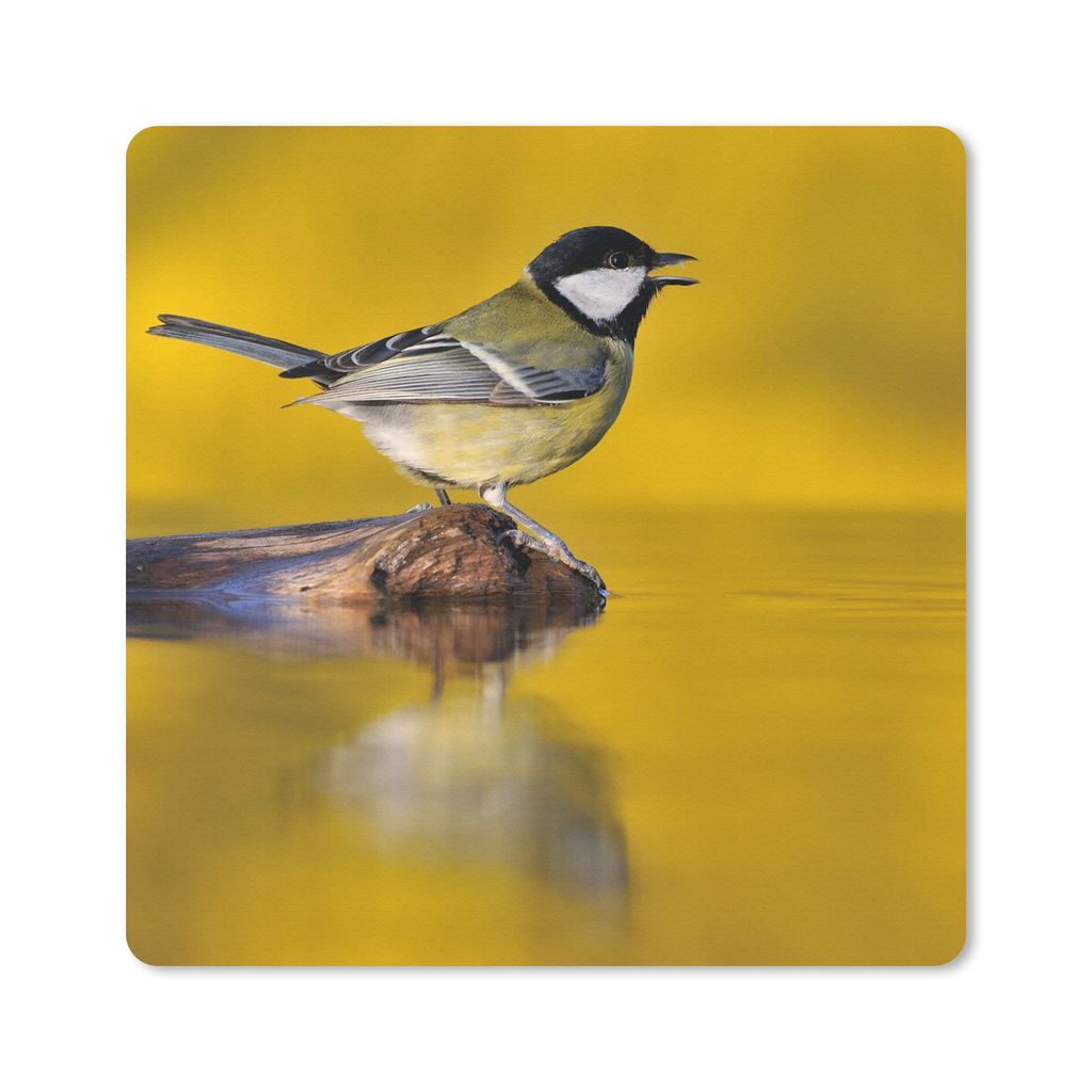 MuchoWow Mauspad Mousepad Kohlmeise - Vogel - Wasser 30x30 cm - Mousepads - Maus Mat - Pad - Mausunterlage - Gaming