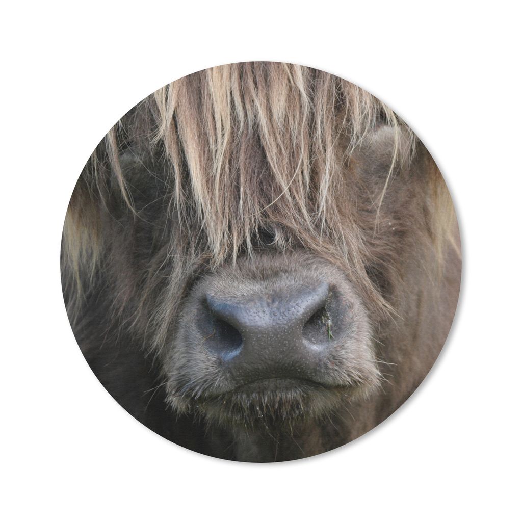 MuchoWow Mauspad Mousepad Schottischer Highlander - Braun - Nase 30x30 cm - Mousepads - Maus Mat - Pad - Mausunterlage - Tischunterlage - Schreib...