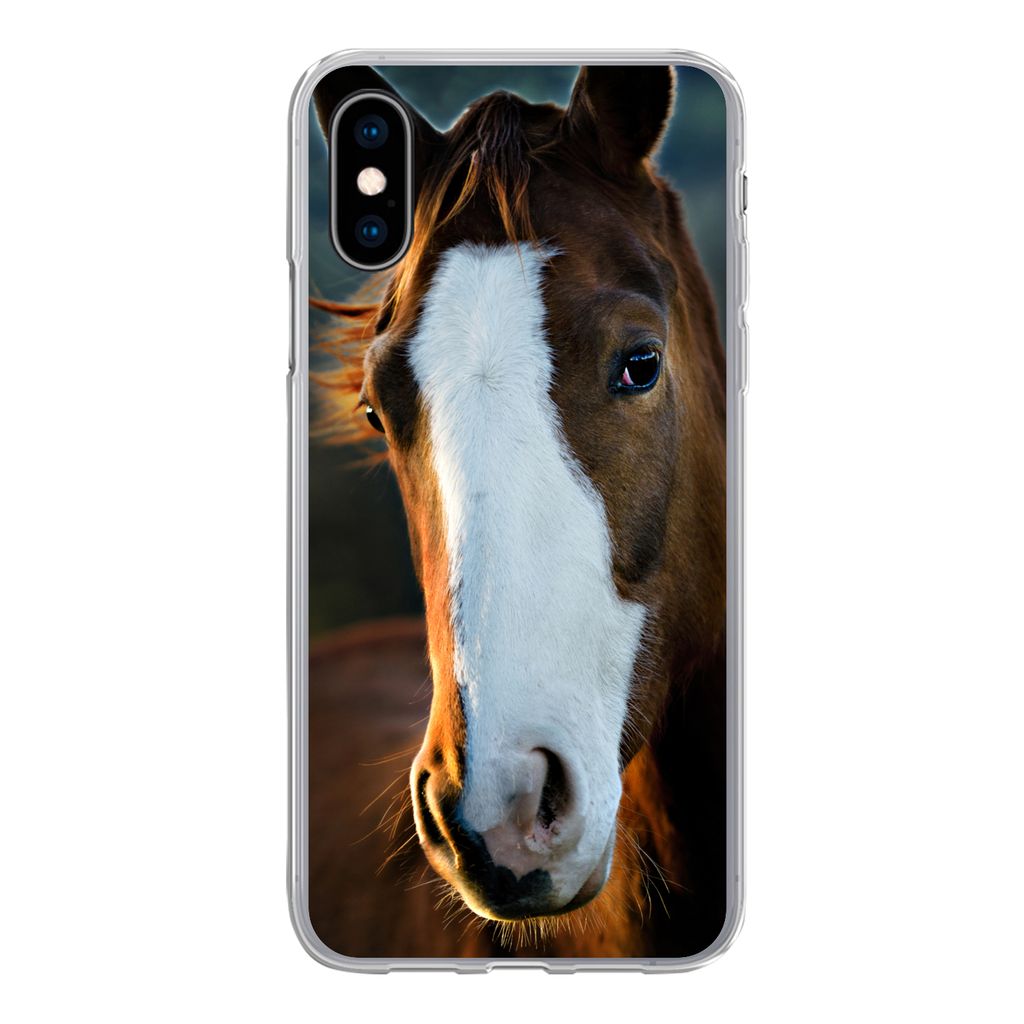 MuchoWow Handyhülle Schutzhülle Hülle für iPhone X Pferd - Kopf - Licht Silikon Softcase Handy Hülle - Handyhülle