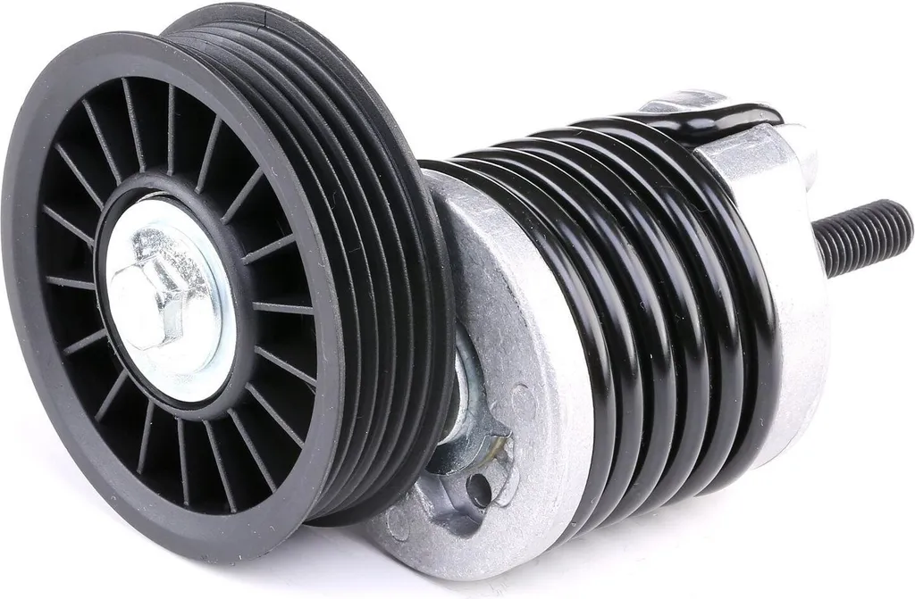 JP GROUP 1118200500 Tendeur de Courroie 028903315M pour Audi A4 et A6