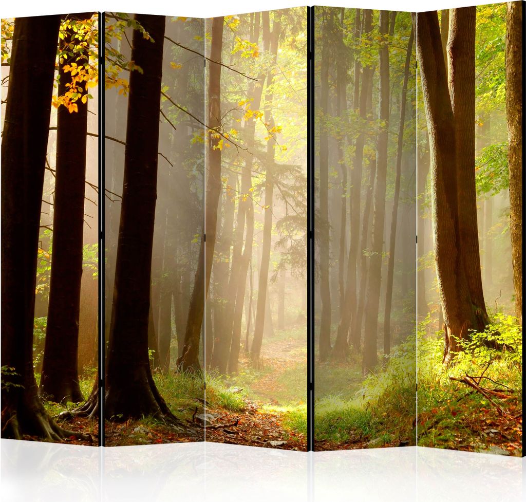 Akusticher Raumteiler Wald Foto Paravent 225x172 cm beidseitig auf Vlies-Leinwand bedruckt Akustikschaum Trennwand Spanische Wand Sichtschutz Home ...