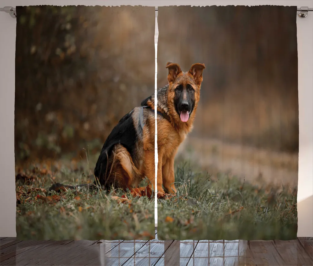 Rideau Salon Automne pour Passionnés de Chien et Décoration Nature