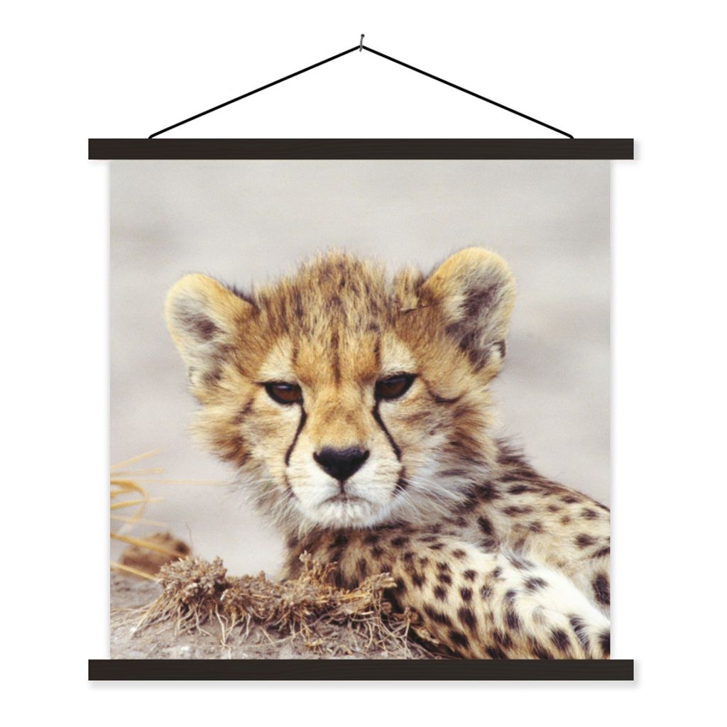 MuchoWow Textilposter Gepard - Jung - Porträt 60x60 cm mit schwarzem Rahmen - Posteraufhänger
