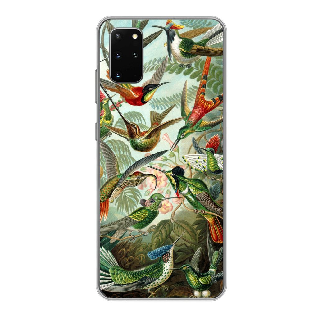 MuchoWow Handyhülle Schutzhülle Hülle für Samsung Galaxy S20 Plus Trochilidae - Alte Meister - Kunst Silikon Softcase Handy Hülle - Hartschale
