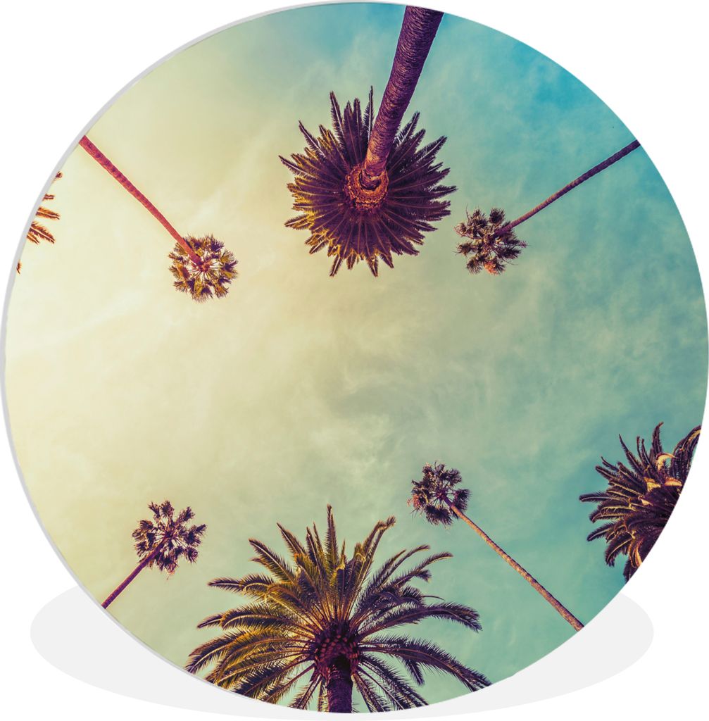 MuchoWow Rundes Wandbild - Runde Bilder Palme - Himmel - Bäume - Sommer - Tropisch Ø 60 cm Kreis Wanddekoration Kunststoff - Wandkreis - Wandsc...