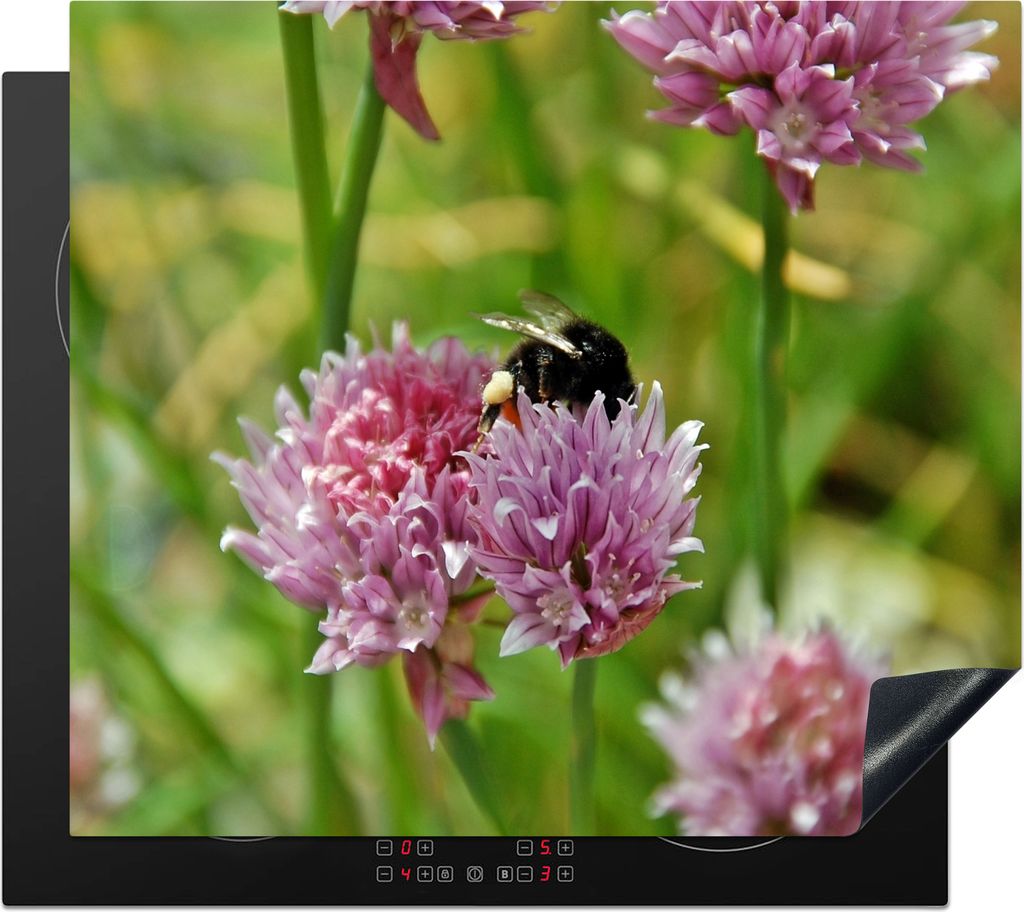 KitchenYeah Herdabdeckplatte Biene sucht Nektar auf Schnittlauchblüte , 57x51cm, Küche Deko, Glaskeramikfeld Herdabdeckung, Abdeckplatte fùr K...