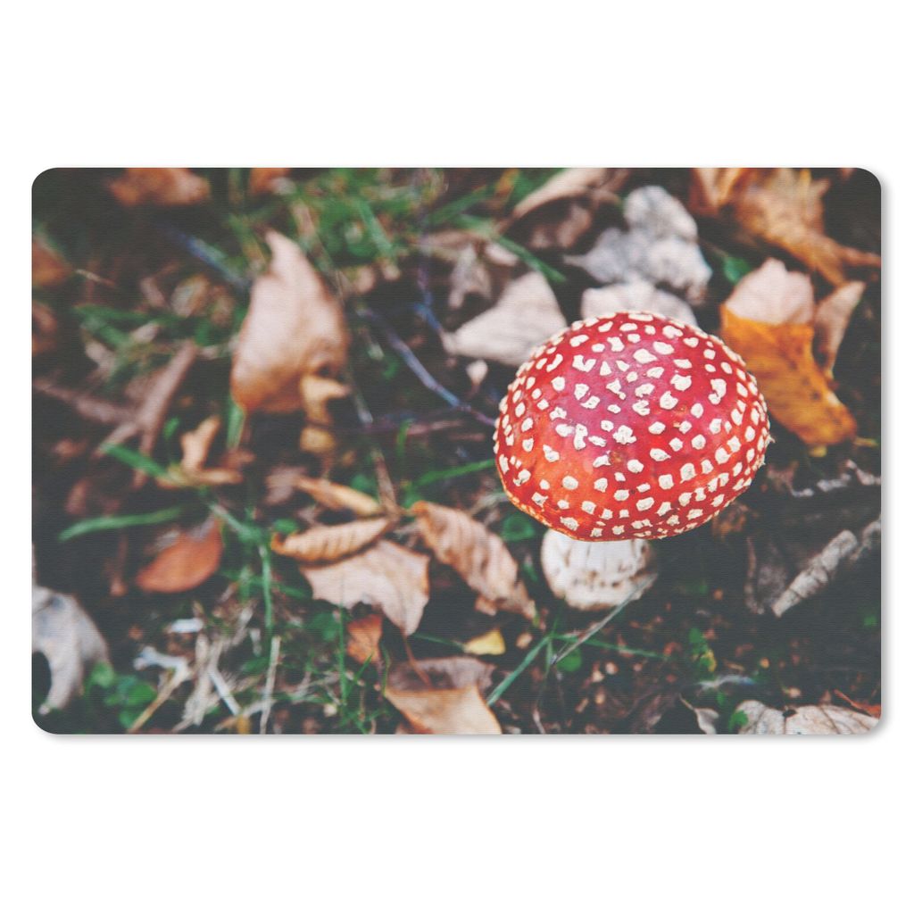 MuchoWow Mauspad Mousepad Herbst - Pilz - Blätter - Natur 27x18 cm - Mousepads - Maus Mat - Pad - Mausunterlage - Büroartikel - Desk Matten