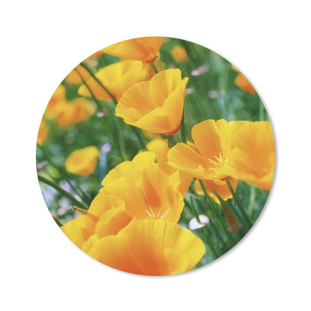 MuchoWow Mauspad Mousepad Blumen - Garten - Orange 40x40 cm - Mousepads - Maus Mat - Pad - Mausunterlage - Schreibtisch Accessoires
