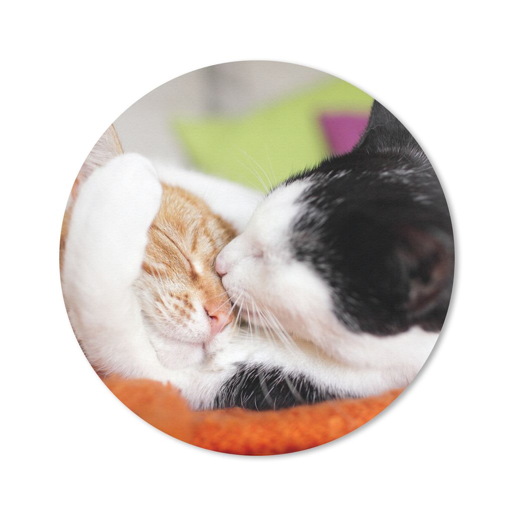 MuchoWow Mauspad Mousepad Katzen - Kuscheltier - Animal Day 50x50 cm - Mousepads - Maus Mat - Pad - Mausunterlage - Vinyl