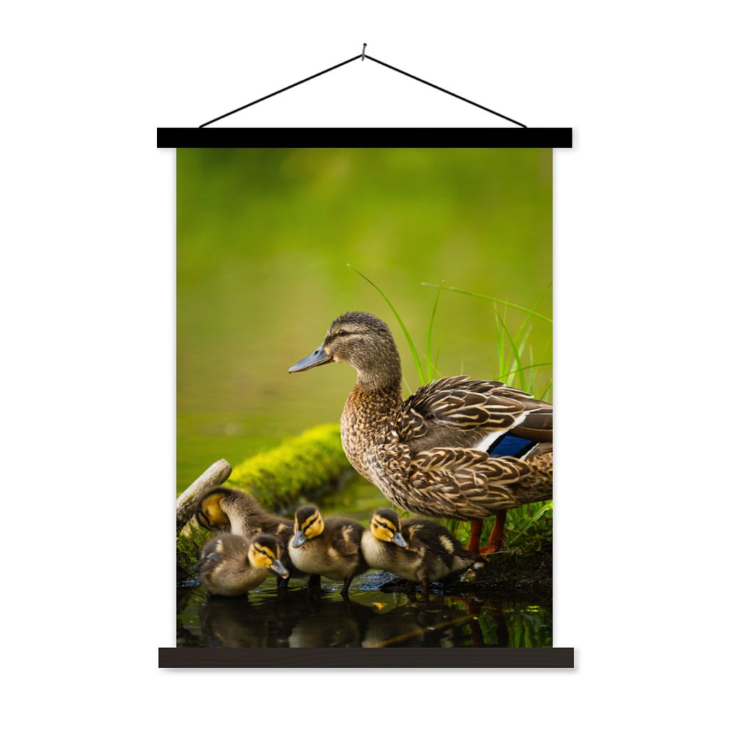 MuchoWow Textilposter Ente - Vögel - Wasser - Zweig - Moos 40x53 cm mit schwarzem Rahmen - Abbildung