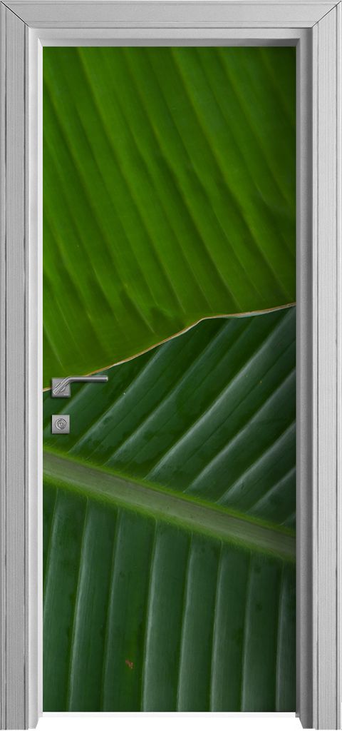Tür Selbstklebende 80x210 cm Türfolie Türtapete Klebefolie - Banane Blatt