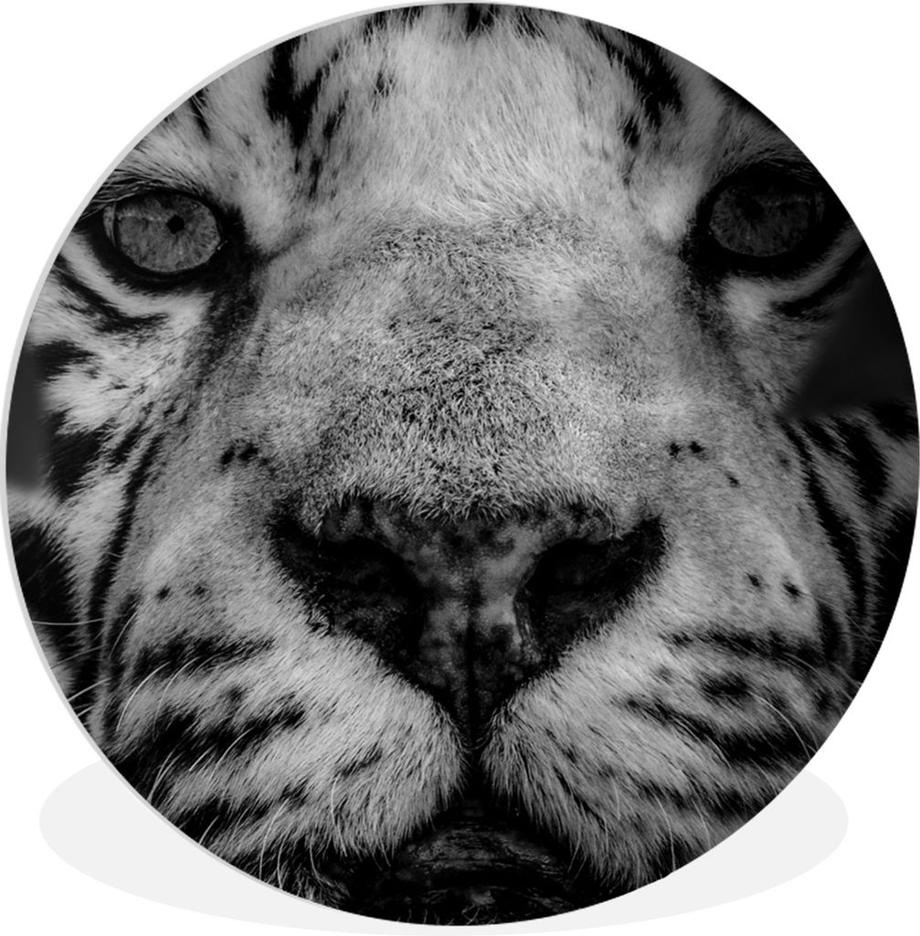 MuchoWow Rundes Wandbild - Runde Bilder Dschungel - Tiger - Schwarz - Weiß Ø 30 cm Kreis Wanddekoration Kunststoff - Wandkreis - Wandschmuck - ...