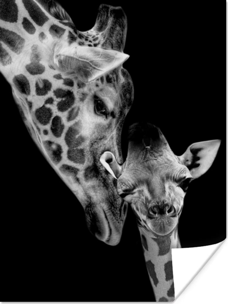MuchoWow Poster Porträt - Giraffe - Tiere - Schwarz - Weiß 120x160 cm - Wandbilder