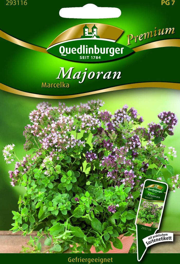 Quedlinburger Saatgut - Majoran Marcelka - Samen - 293116