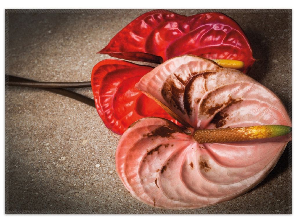 Wallario Premium Teppich, Größe 50 x 70 cm, Blüten einer Flamingoblume - Anthurie - auf schwarzem Marmor