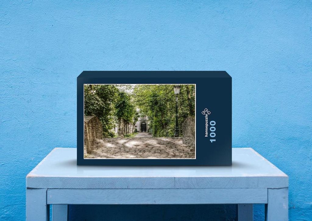 hansepuzzle 69201 - Hof Puzzle, 1000 Teile, Hintergründe, 60,0 x 46,0cm mit hochwertiger Aufbewahrung, Kartonbox und wiederverschließbarem Beutel