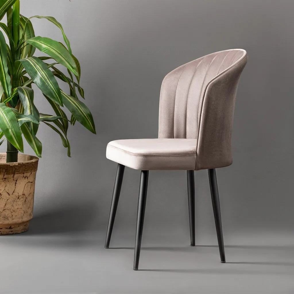 Chaises compactes MDF Cappuccino - Rubi Skye Decor - Lot de 2