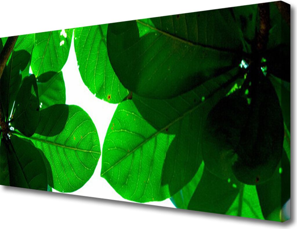 Tulup Leinwand-Bilder 100x50 Wandbild Canvas Kunstdruck Blätter Pflanzen