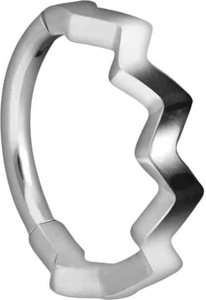 Ohrpiercing, Nasenpiercing, Septum Piercing Titan Segmentring Clicker GEZACKTES DESIGN Silber Innendurchmesser: 8 mm