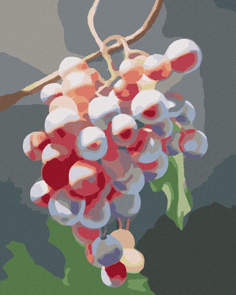 Zuty - Malen nach Zahlen - WEINTRAUBEN 2 (MYROSLAVA VOLOSCHUK), 40x50 cm, ohne Keilrahmen
