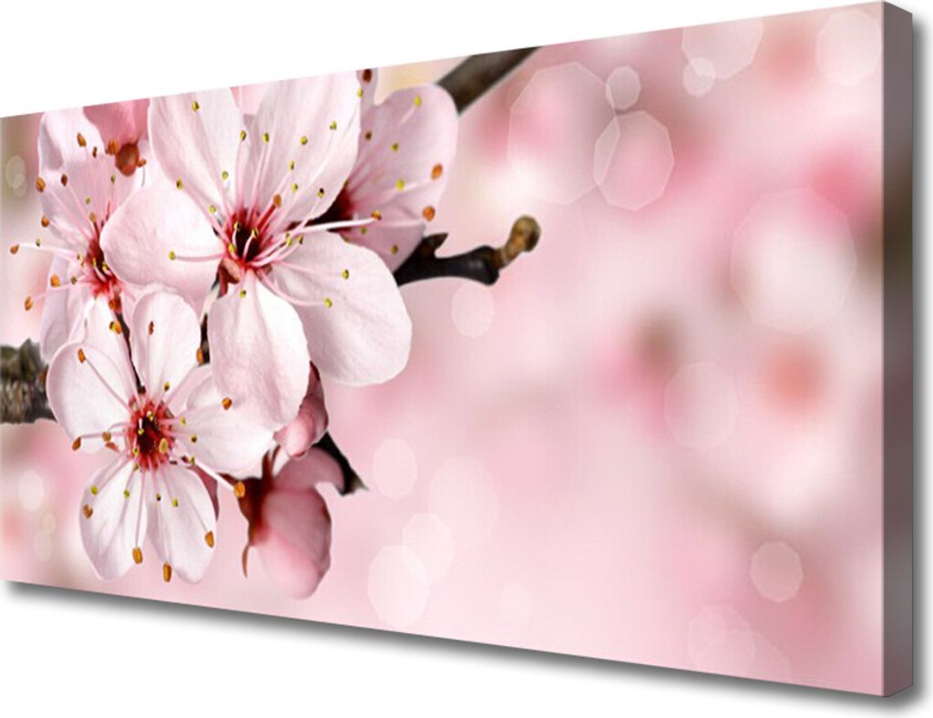 Tulup Leinwand-Bilder 100x50 Wandbild Canvas Kunstdruck Blumen Pflanzen