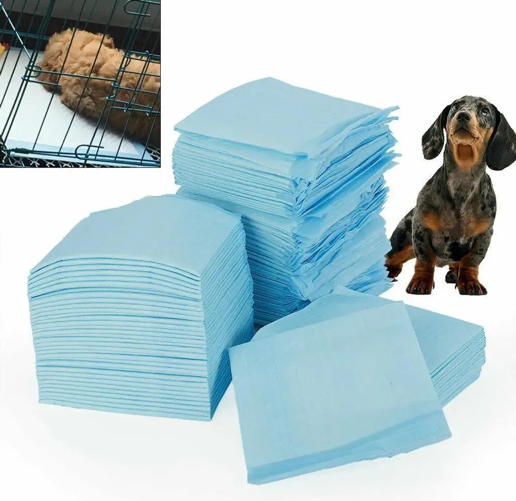 Tappetini Igienici Cane - Traverse Professionali per Cuccioli e Auto