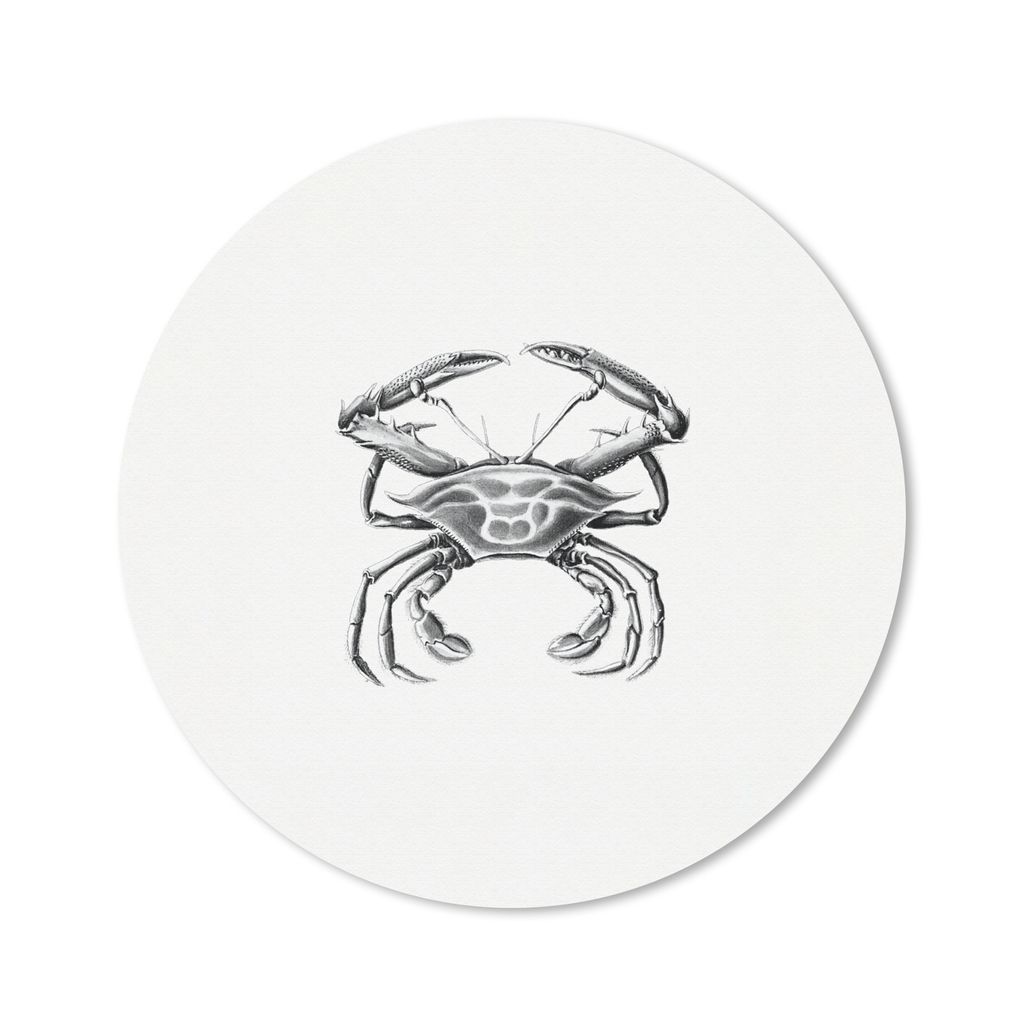 MuchoWow Mauspad Mousepad Ernst Haeckel - Jahrgang - Kunst - Krabbe 20x20 cm - Mousepads - Maus Mat - Pad - Mausunterlage - Schreibtischmatte
