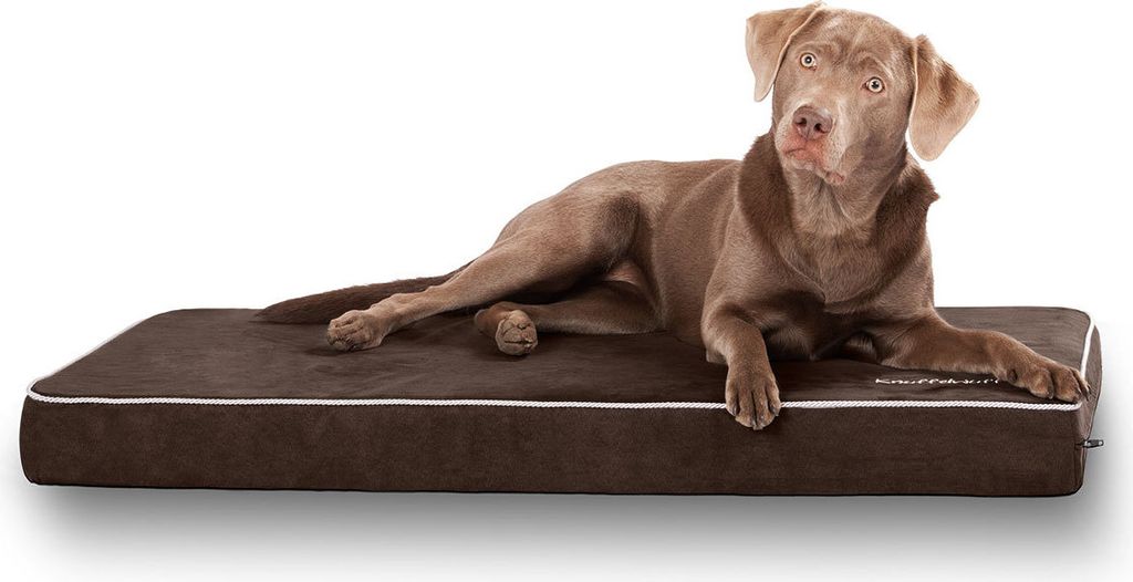 Knuffelwuff Hundematte Maui aus Velours mit 9cm Schaumstoff Braun XXL 110 x 66